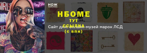 гидра Алексин