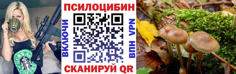 Галлюциногенные грибы прущие грибы  Старый Оскол 