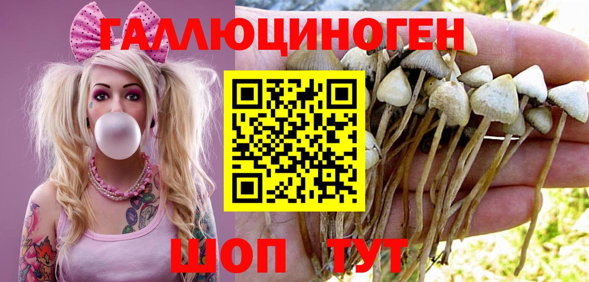 Старый Оскол  Галлюциногенные грибы мухоморы  Вход с VPN 