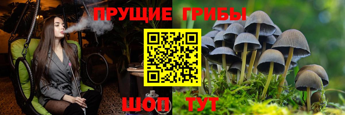 Галлюциногенные грибы прущие грибы Старый Оскол