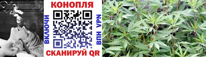 Шишки марихуана планчик  omg ТОР  Старый Оскол  где купить наркотик 